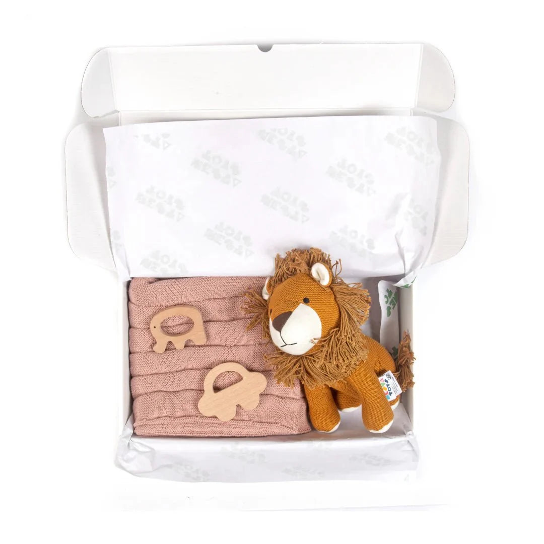 Newborn Gift Set – Swaddle, Lion Plush Toy & Wooden Teethers
