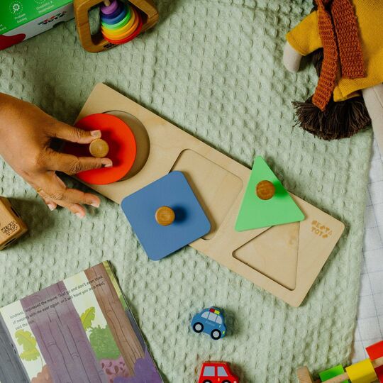 Montessori Wooden Shapes Knob Puzzle