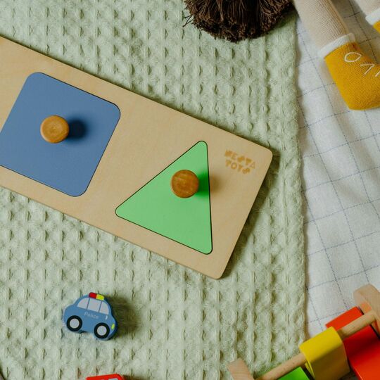 Montessori Wooden Shapes Knob Puzzle