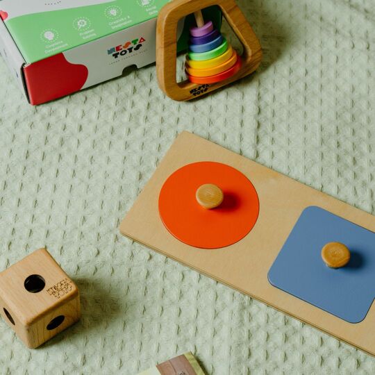 Montessori Wooden Shapes Knob Puzzle