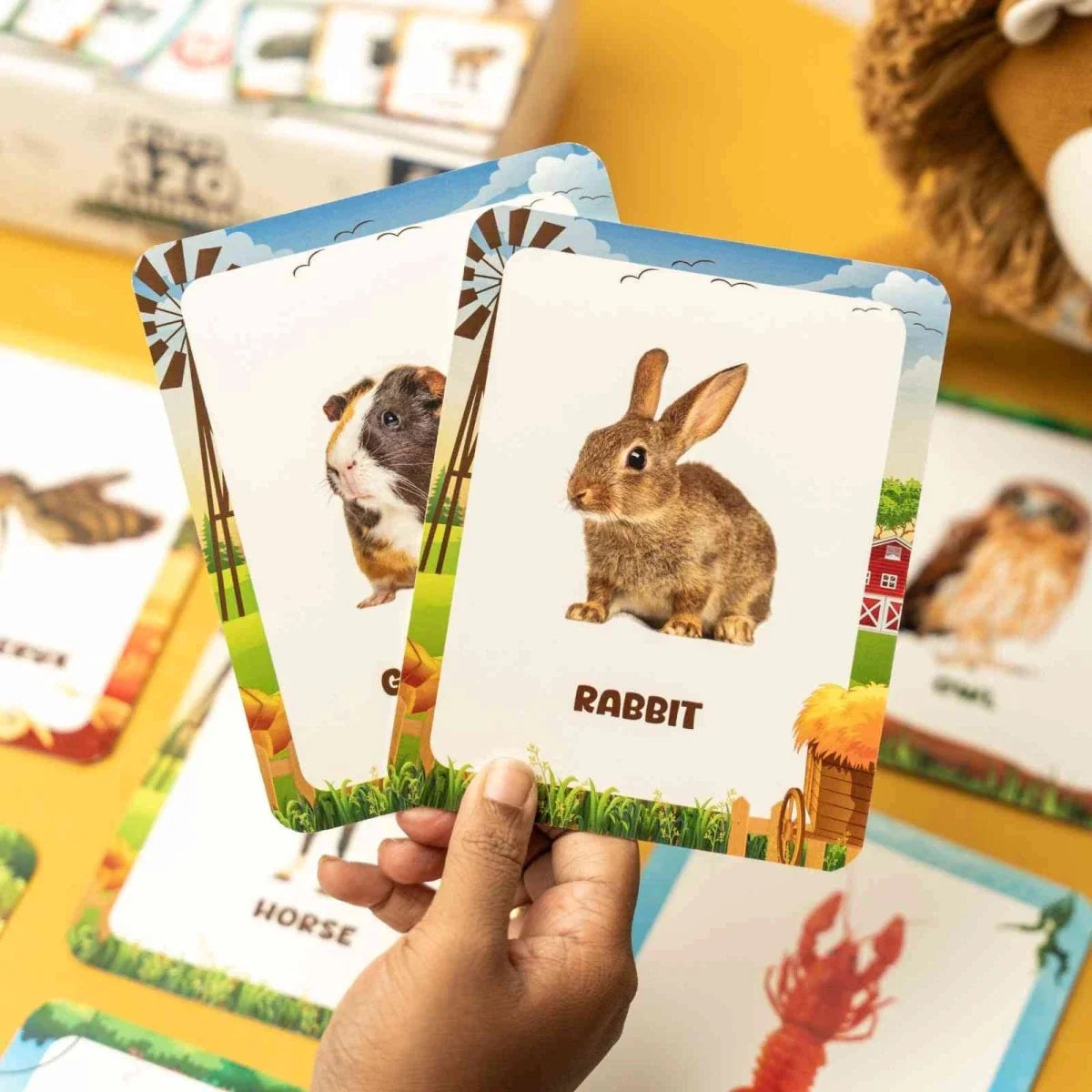 Animal Flashcards (120 Pictures)