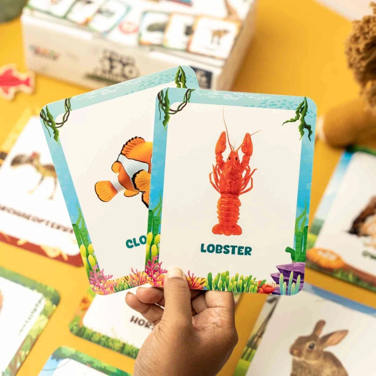 Animal Flashcards (120 Pictures)