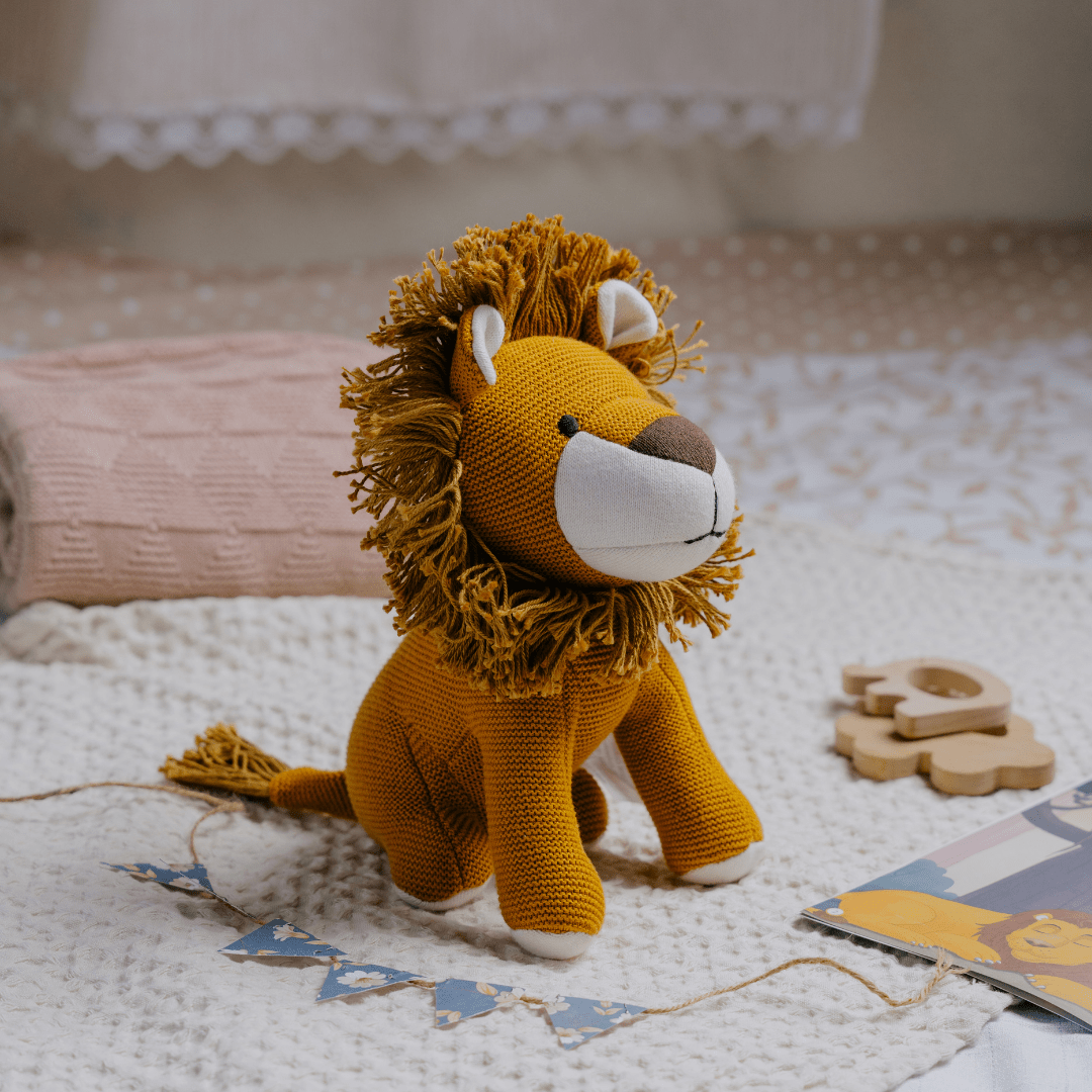 Newborn Gift Set - Lion Plush Toy, Wooden Elephant & Car Teether