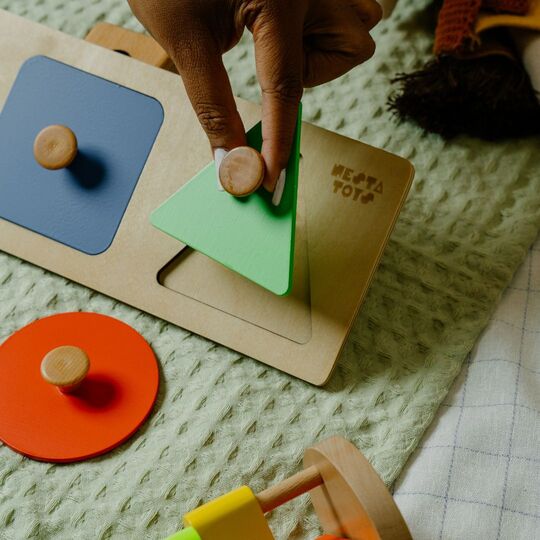 Montessori Wooden Shapes Knob Puzzle