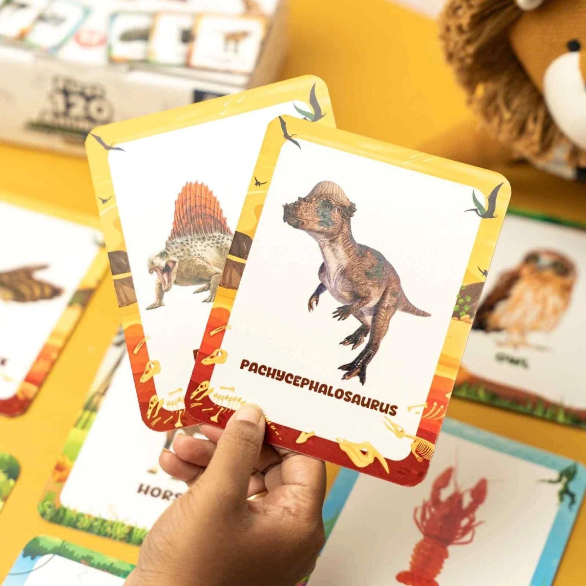 Animal Flashcards (120 Pictures)