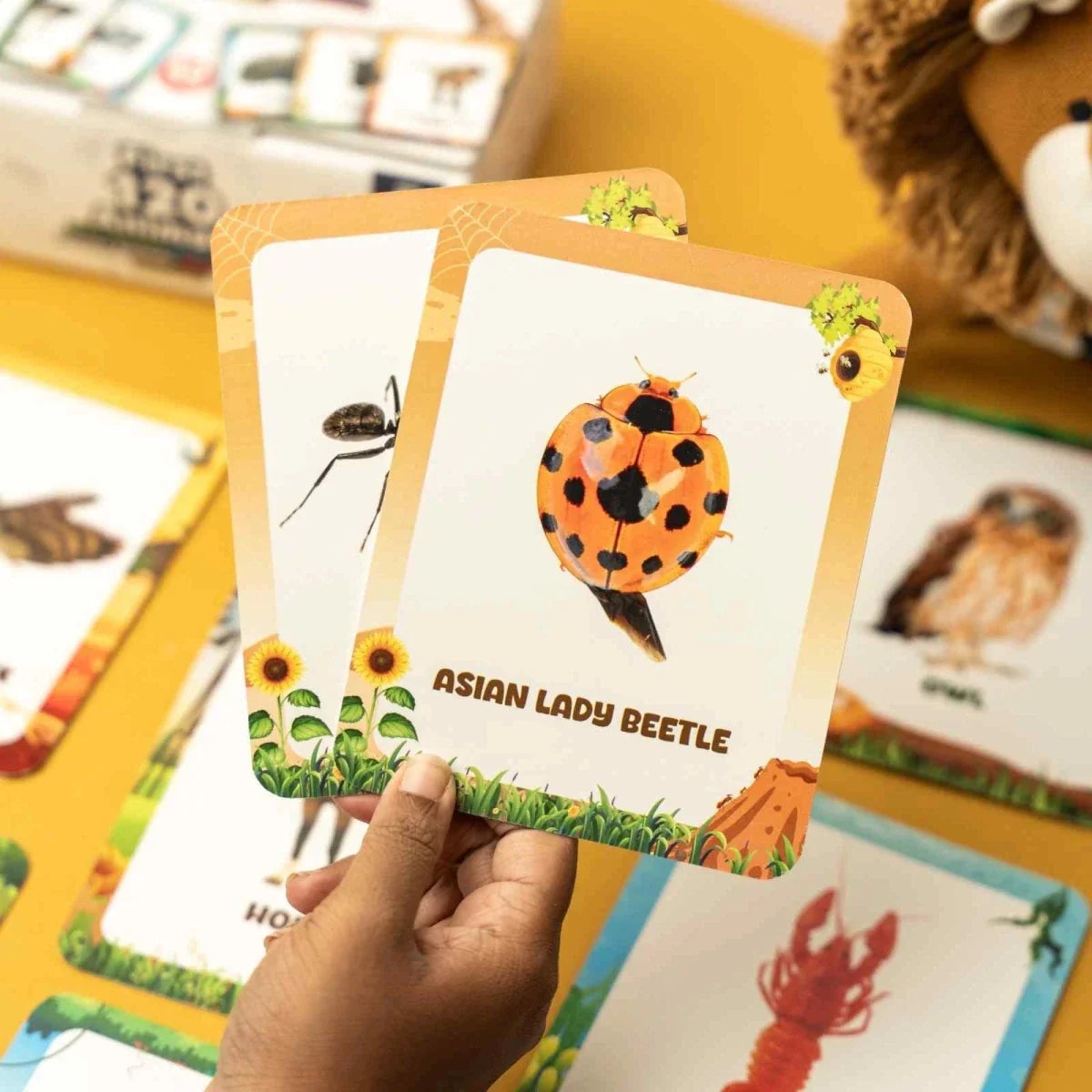 Animal Flashcards (120 Pictures)