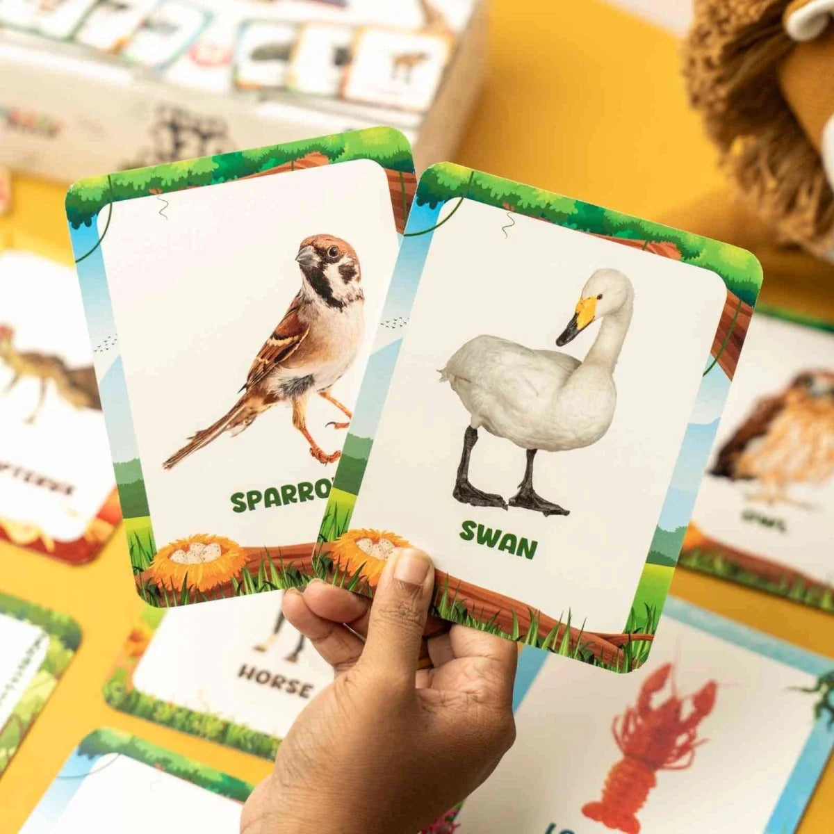 Animal Flashcards (120 Pictures)