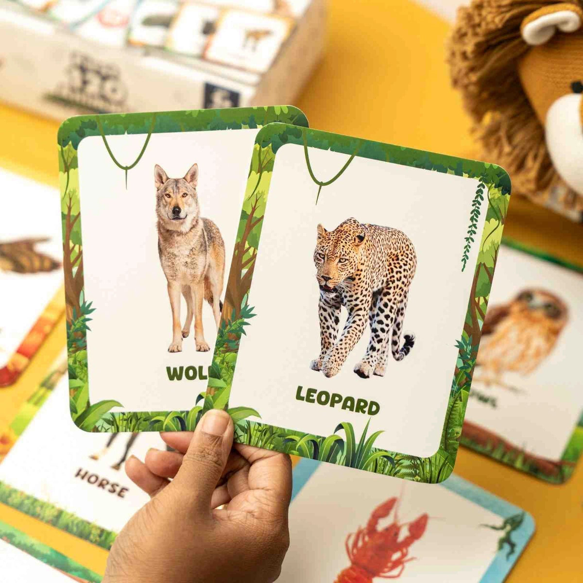 Animal Flashcards (120 Pictures)