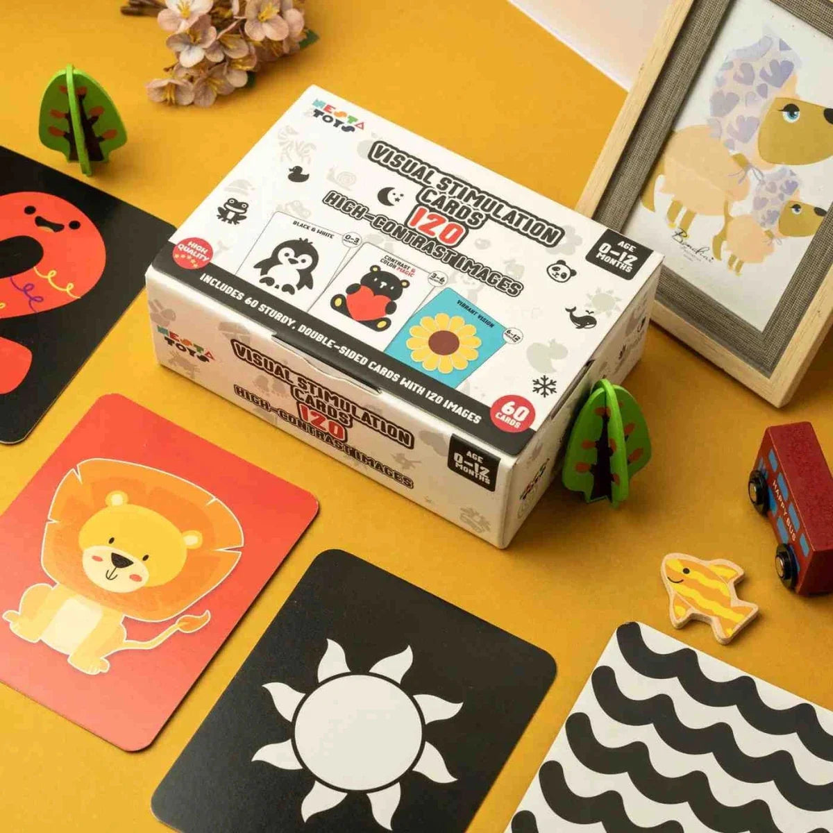 Visual Stimulation Learning Activity Card for Babies